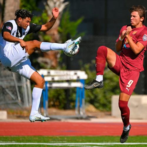 npsl4